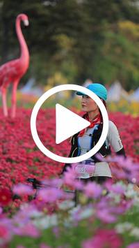 BIB:  <button type="button" onclick="openModal(27582941)" class="btn btn-primary btn-sm float-right" data-toggle="modal" data-target=".modal-high-quality">
                <i class="fa fa-download"></i> Download
                </button>